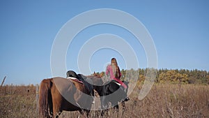 Young Caucasian female equestrian riding the black horse on the meadow and holding halter of the brown stallion