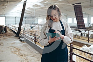 Young Caucasian Female Farm Owner with Tablet in large Livestock Stall with white Dairy Goats