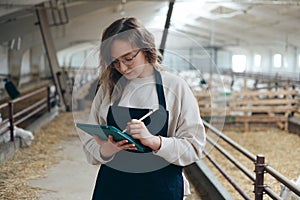 Young Caucasian Female Farm Owner with Tablet in large Livestock Stall with white Dairy Goats