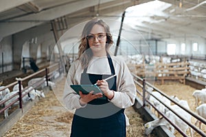 Young Caucasian Female Farm Owner with Tablet in large Livestock Stall with white Dairy Goats