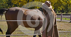 Young Caucasian girl in elegant coat and hat walking along corral with graceful brown horses. European brunette girl