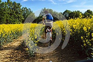 Young caucasian man biking through a field of rapeseeds