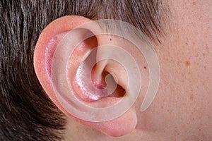 Young caucasian teenage boy`s ear