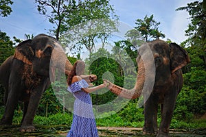 Young Caucasian Woman Feeding Elephants