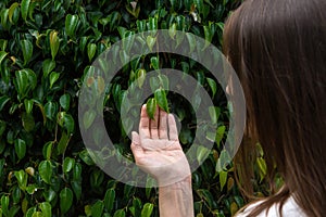 Young Caucasian Woman Girl with Long Chestnut Hair Touching Green Leaves on Tree Branch in Forest Foliage Background