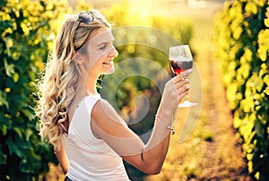 Young caucasian woman holding a glass of red wine in vineyard on sunny day, back view - Vinification, vine-growing and wine-