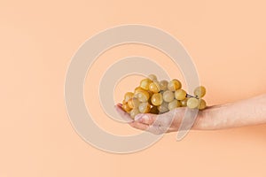 Young Caucasian woman holds in hand bunch of ripe juicy white grapes on peachy pink background. Autumn harvest healthy lifestyle