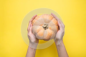 Young Caucasian Woman Holds in Hands Small Round Heirloom Peachy Pink Pumpkin on Yellow Background. Rural Fall Autumn Atmosphere
