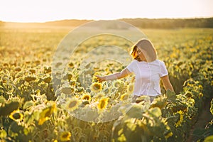 Young caucasian woman with long hair in a field of sunflowers at sunset