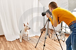 Young caucasian woman photographer making photo to dog at photography studio