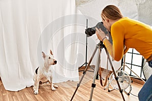 Young caucasian woman photographer making photo to dog at photography studio