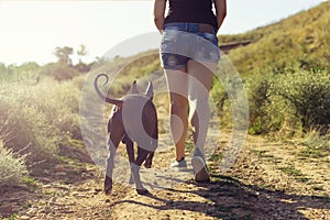 Young caucasian woman running along a dirt road uphill next to her dog at sunset in summer. Back to camera