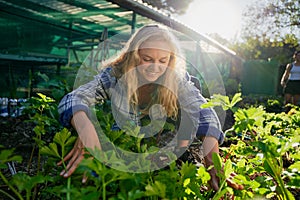 Young caucasian woman smiling while crouching by lush plants while gardening at garden center