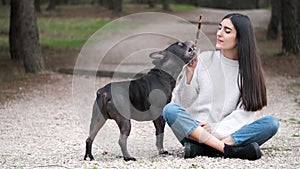 Young Caucasian woman teach mixed breed dog how to play gently with her.