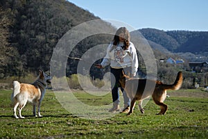 Young Caucasian woman walks in field with two dogs. Female Pet owner has fun with pets outside. A white mixed breed and