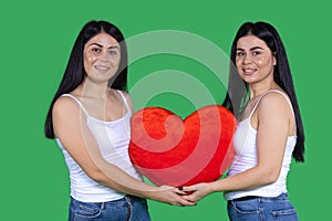 Young caucasian women, twin sisters, holding together a big red plush heart, Valentines day love, charity, medical support concept