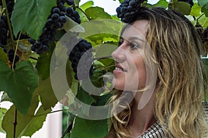 Young charming girl with a hrona of ripe grape varieties fragola photo