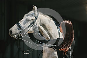 Young charming woman walking with white horse in summer warm day at country estate. Lifestyle mood. Concept of nature