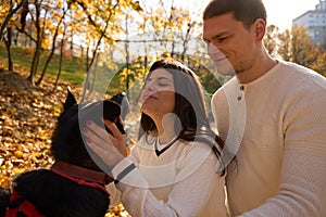 Young cheerful couple walking their dog in the park