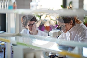 Young cheerful female chemistry students have a good time while working with a microscope in a laboratory. Science, chemistry, lab