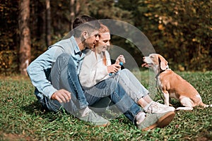 Young cheerful man and woman teaching their dog to perform commands