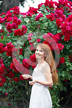 Portrait of a pretty redhead girl dressed in a white light dress on a background of blooming roses. Outdoor