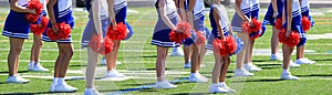 Young cheerleaders standing on a field holding