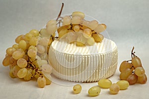 Young cheese with bunches of grapes