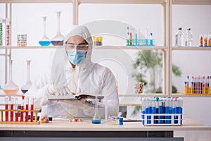 Young male chemist in drugs syntesis concept photo