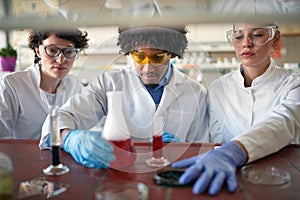 Young chemistry students are concentrated on work with chemicals in the university laboratory. Science, chemistry, lab, people