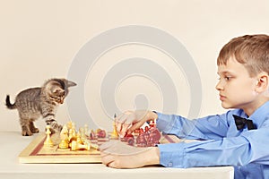 Young chessplayer with striped kitten plays chess.