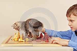 Young chessplayer with tabby kitten plays chess.