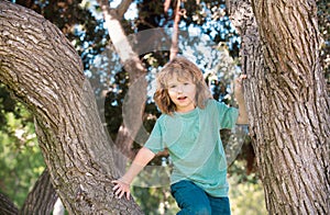 Young child blond boy climbing tree. Happy child playing in the garden climbing on the tree. Children love nature on