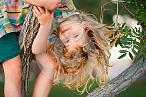 Young child blond boy climbing tree. Happy child playing in the garden climbing on the tree. Kid boy playing and