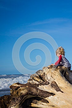 Young child climbing tree looking at ocean