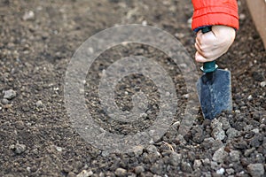 young child hand in a red jacket holds a garden spade for working in the garden