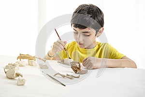 Young child plays as a paleontologist