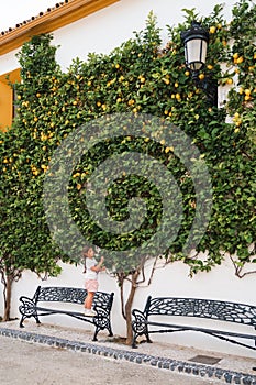 A young child reaches for ripe lemons on a lush tree against a white wall in the quaint village of Ojen, Spain