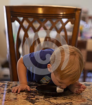 Young child sitting at a table eating a marshmallow off of a plate
