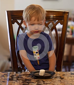 Young child sitting at a table waiting patiently for a marshmallow