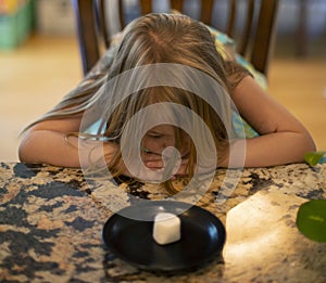 Young child sitting at a table waiting patiently for a marshmallow