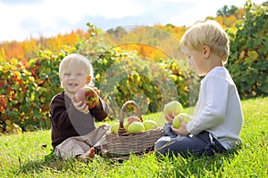 Young Children Eating Fruit at Apple Orchard