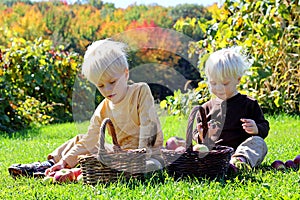 Young Children Having Fruit Picnic at Apple Orchard