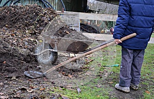 Young children help to distribute soil from compost. They load a dad`s shovel into wheelbarrow to fill the soil. Large decomposed