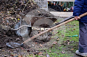 Young children help to distribute soil from compost. They load a dad`s shovel into wheelbarrow to fill the soil. Large decomposed