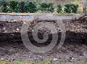 Young children help to distribute soil from compost. They load a dad`s shovel into wheelbarrow to fill the soil. Large decomposed