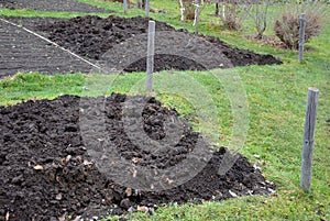 Young children help to distribute soil from compost. They load a dad`s shovel into wheelbarrow to fill the soil. Large decomposed