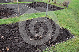 Young children help to distribute soil from compost. They load a dad`s shovel into wheelbarrow to fill the soil. Large decomposed