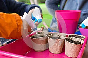 Young children learning how to plant seeds in garden. Narrow depth of field of hands holding seeds and black soil in pot.