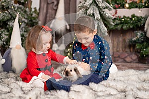 For young children, Santa gave a fluffy rabbit for Christmas. Family holidays, Christmas tale. Best childhood memories